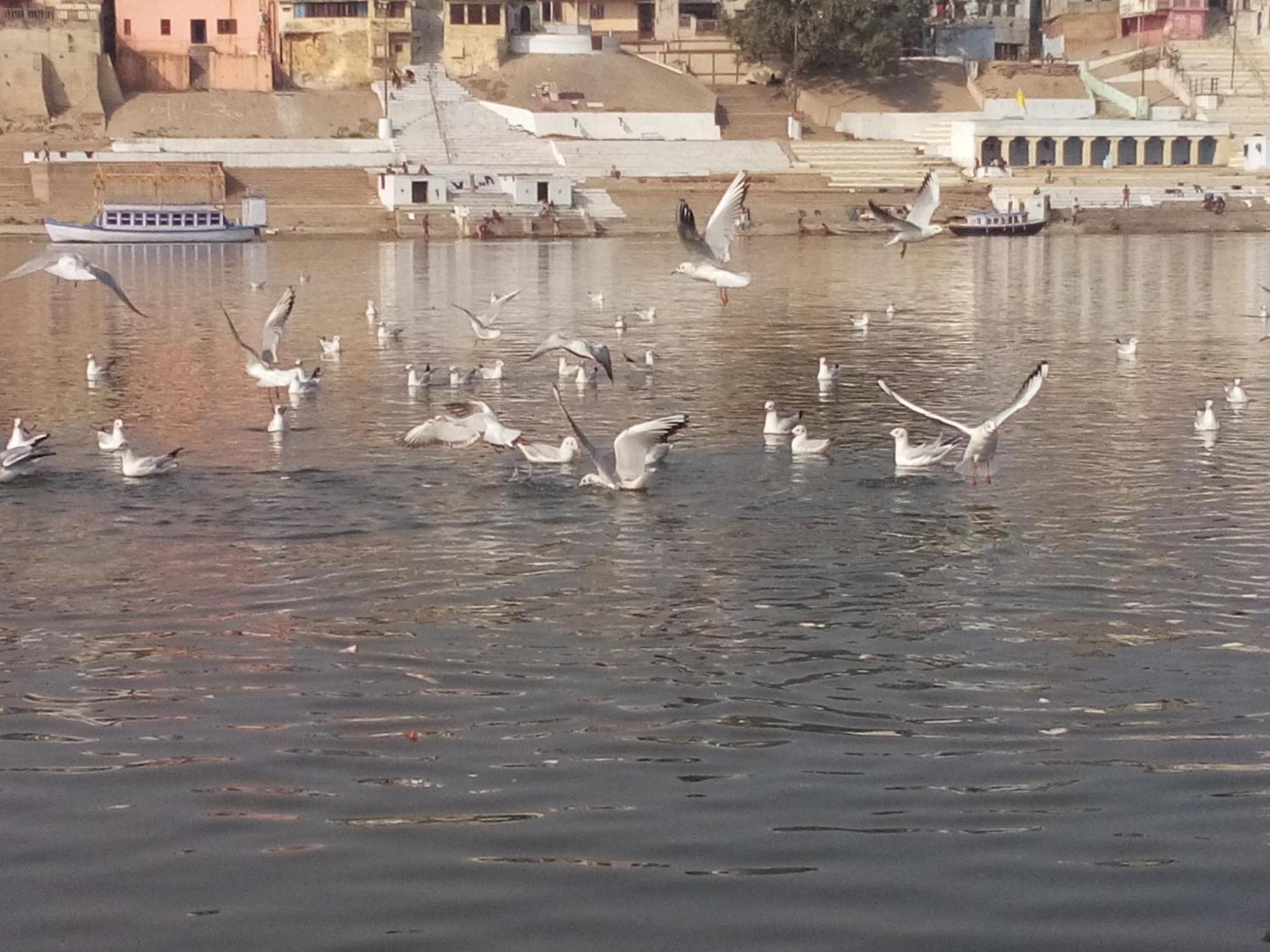 Tandon Lodge On The Ganga Ghat Homestay Varanasi Dış mekan fotoğraf
